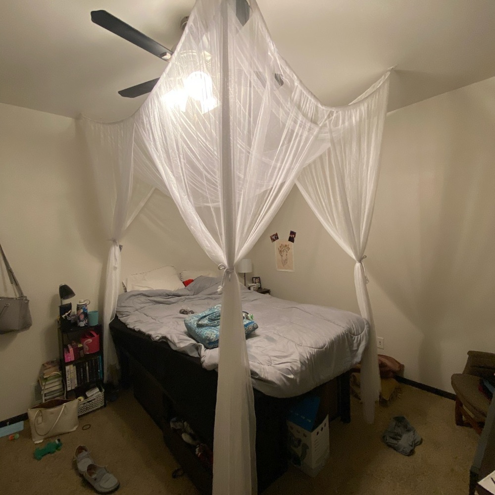 Canopy for bed - Picture 2 of 3